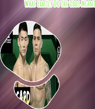 Odds on tonights ufc fight